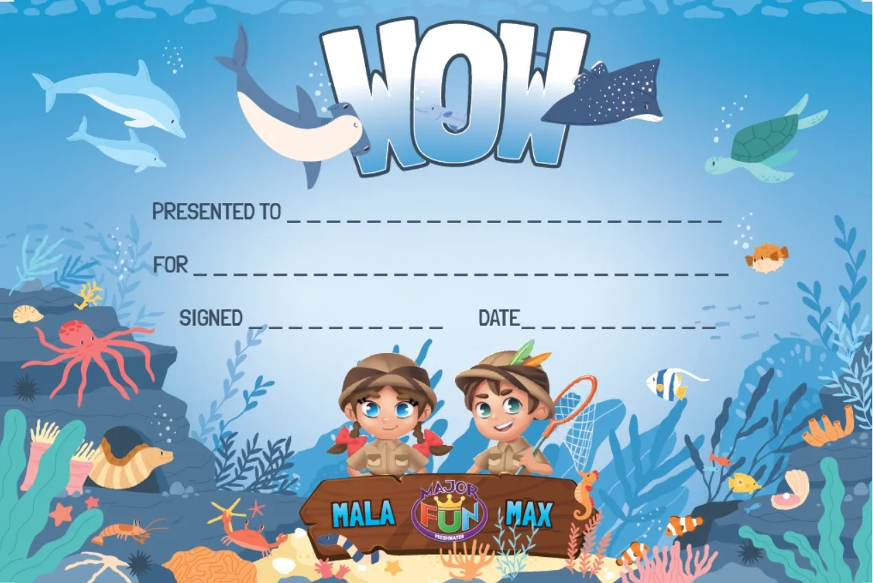 undefined - Freshwater Fun Stuff - illustration 6244c083-552f-49a6-bbe7-960e7544889e