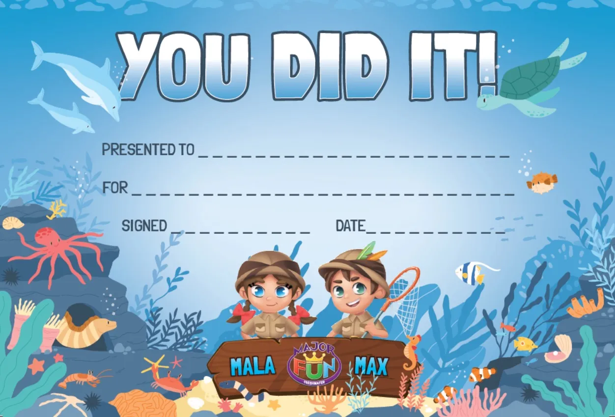 undefined - Freshwater Fun Stuff - illustration a0841414-8ee5-451b-9877-9973c9399d62